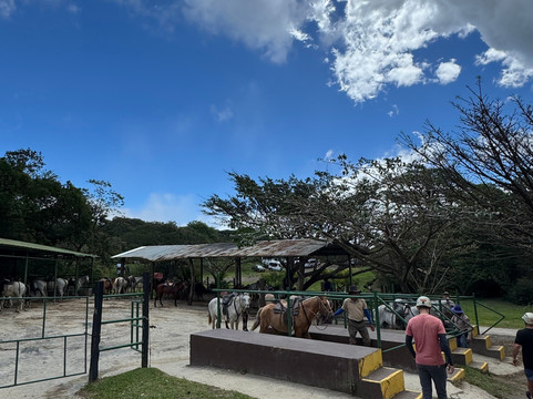 Rincon De La Vieja Volcano-Curubande必去景点