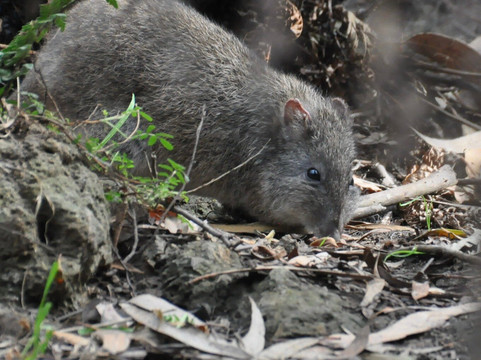 Wildlife Wonders-阿波罗湾必去景点