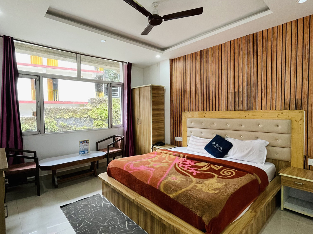 Hotel Anand Palace主图