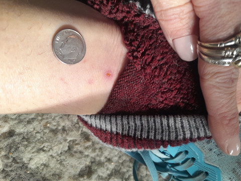 纯净温泉度假村酒店主图