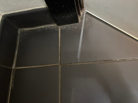 风铃草酒店主图