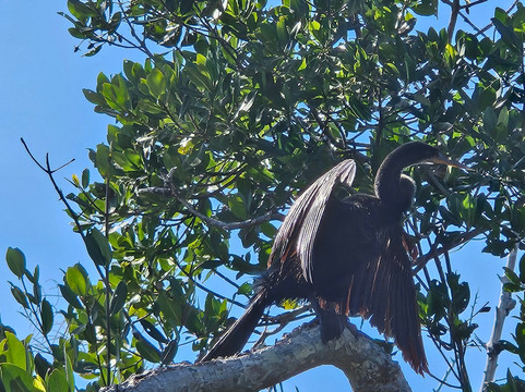 Gulf Coast Kayak-开普科勒尔必去景点