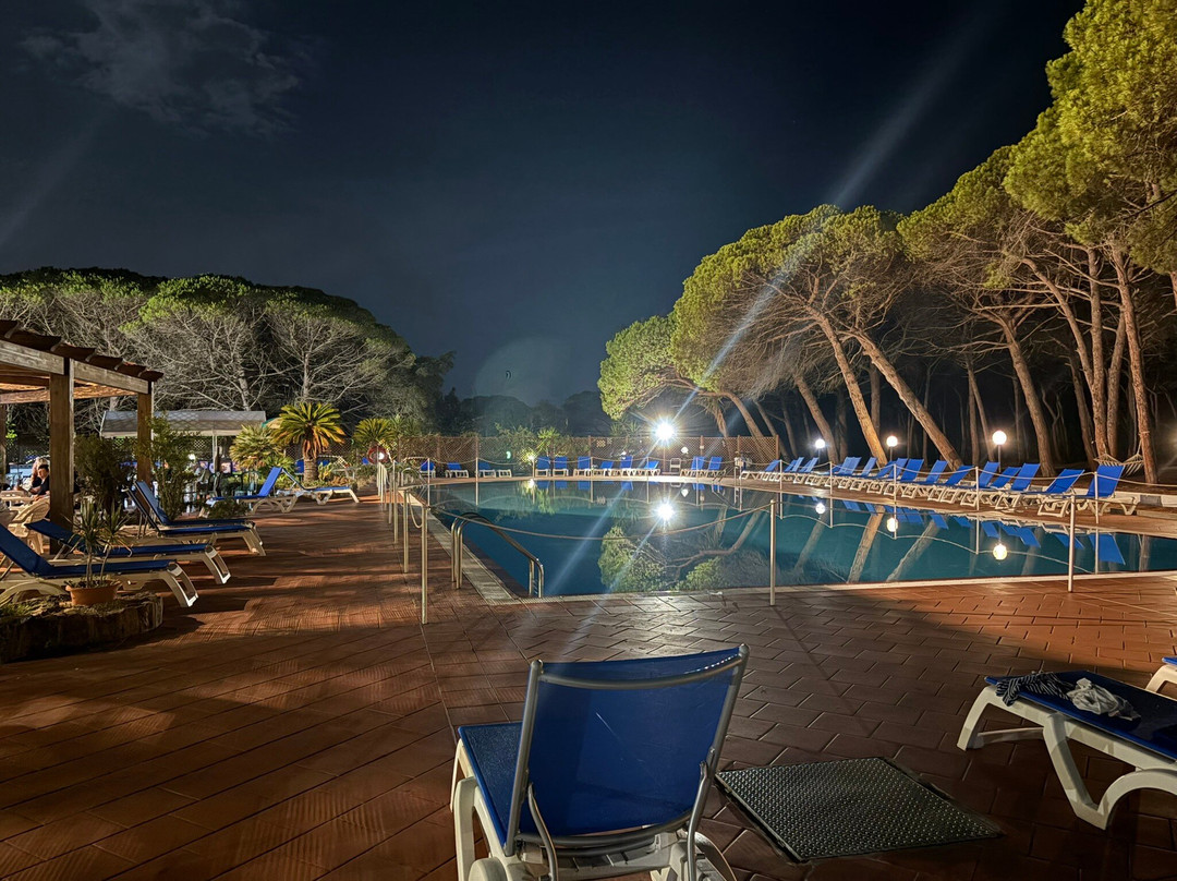 松木乡村酒店主图