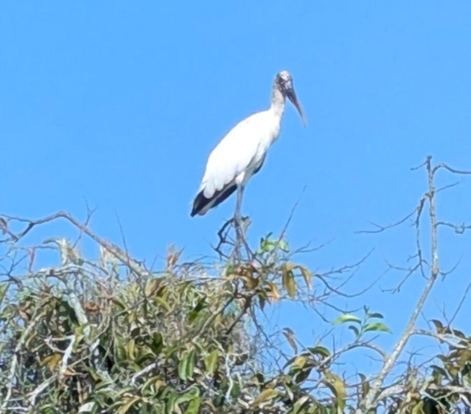 Mystic Embrace-Chacala必去景点
