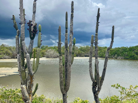 Galapagos by Local Guides-圣克鲁斯必去景点