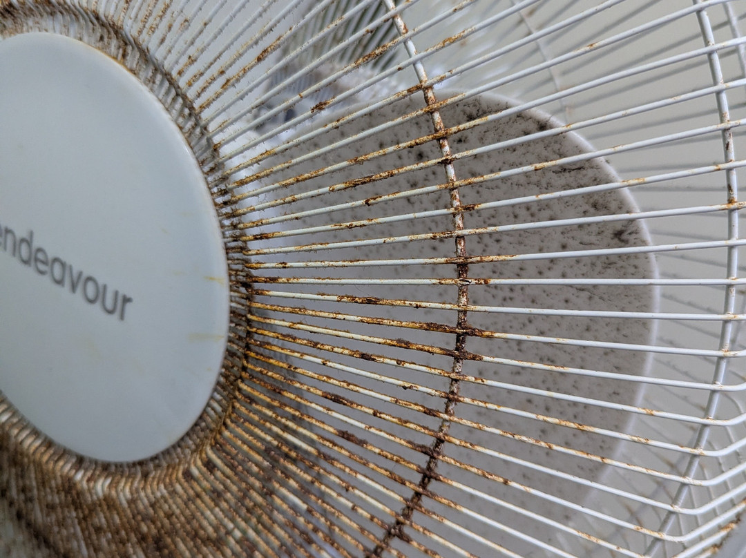 252海滨汽车旅馆和假日公园酒店主图