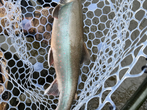 Papa Bear Adventures-Bethel必去景点