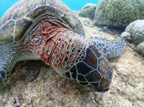 Shigira Beach-宫古岛市必去景点