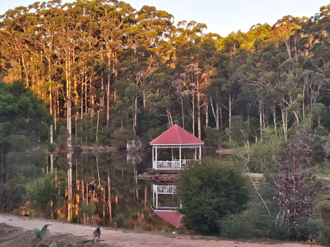 森林洛奇度假村主图