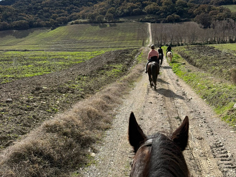 Caballos y Vino-隆达必去景点