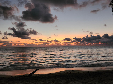 天空与森林酒店主图