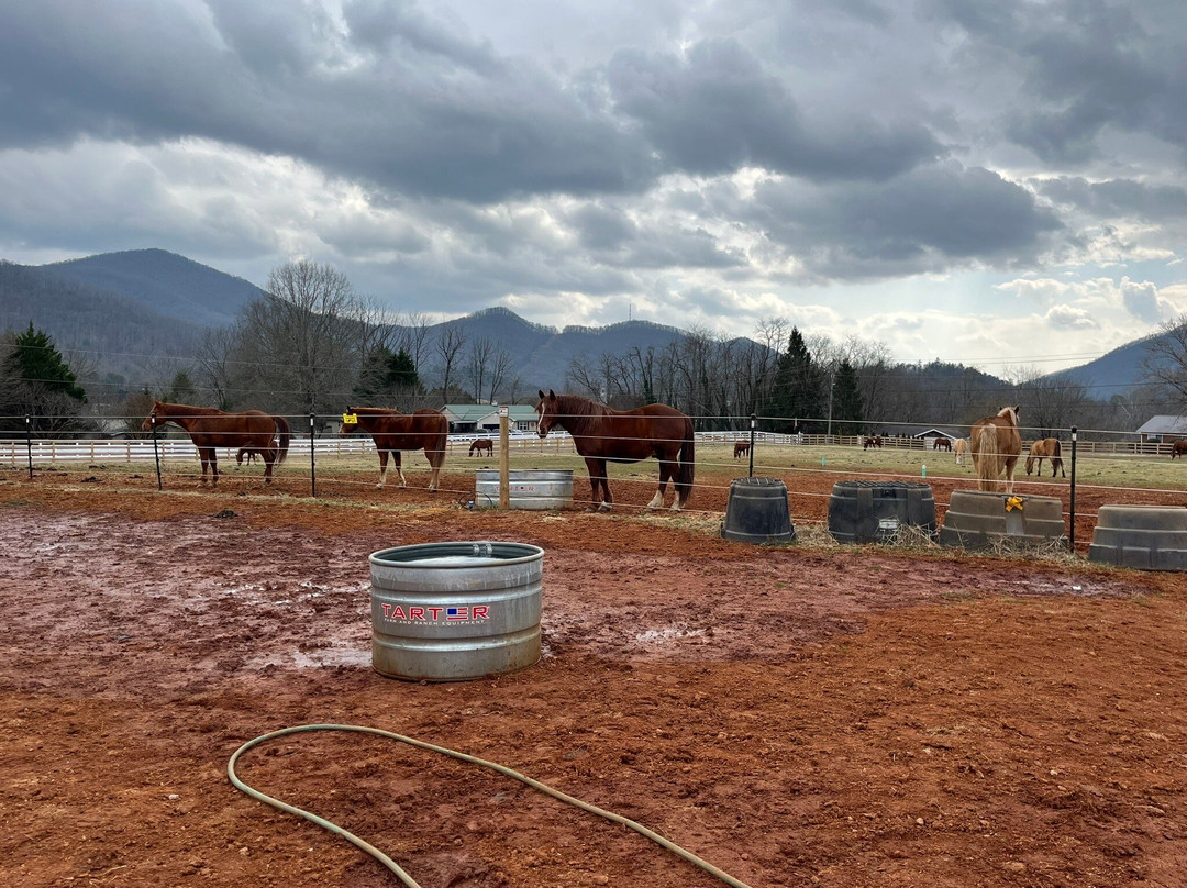 Dillard House Stables-Dillard必去景点