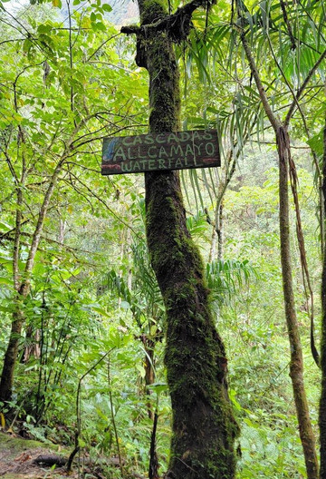 Cascadas Allcamayo-温泉镇必去景点