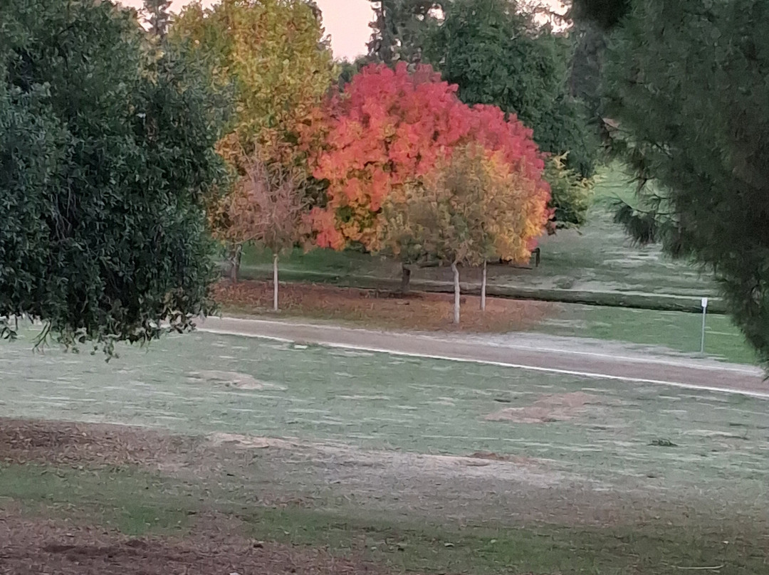 伍德沃德公园-弗雷斯诺必去景点