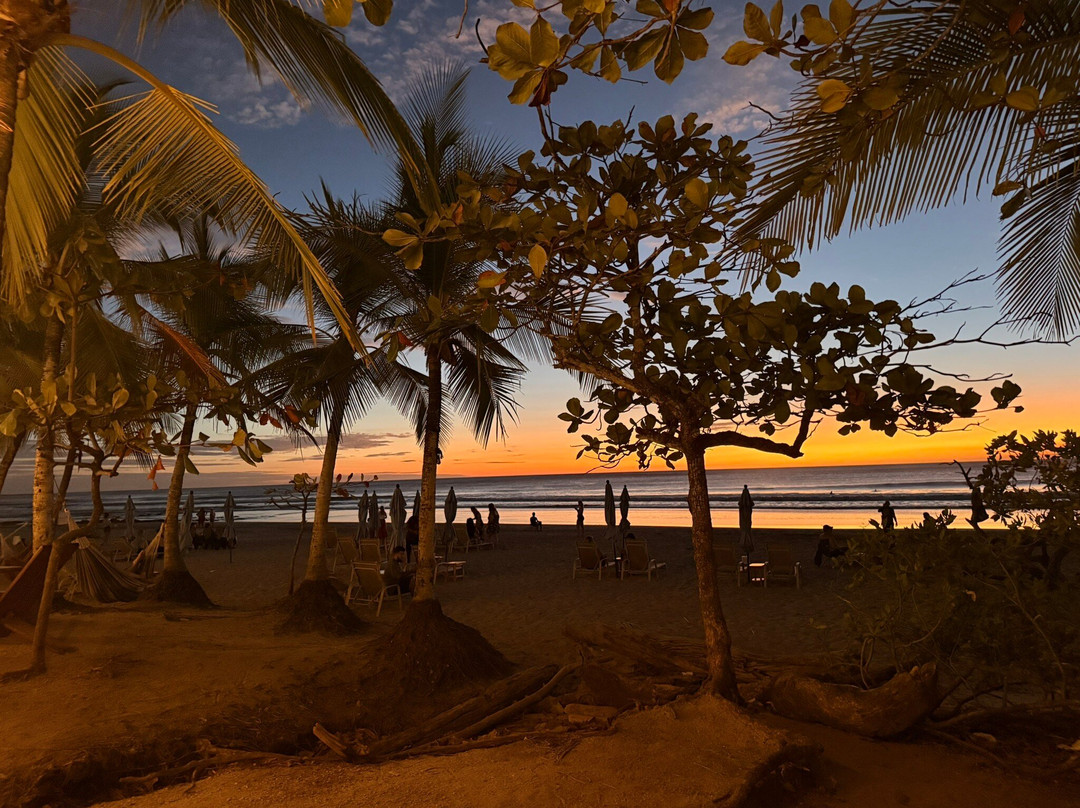 Playa Avellana-Playa Avellanas必去景点