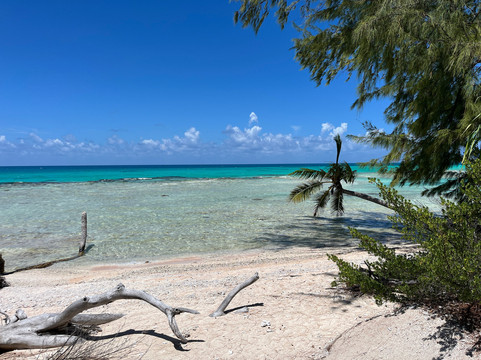 Ile aux Récifs-阿瓦托鲁必去景点