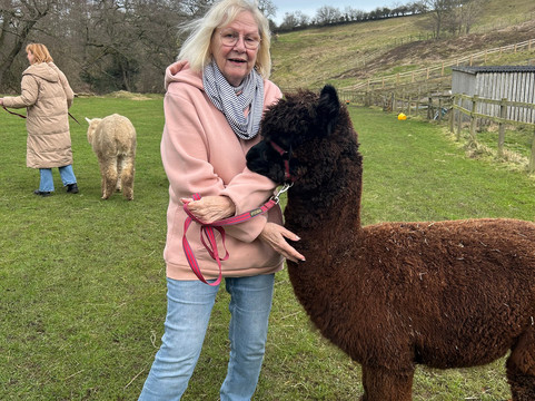 Alpaca Alpaca At Leven Valley-Yarm必去景点
