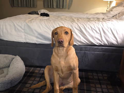 Seaburn旅馆 - The Inn Collection Group主图