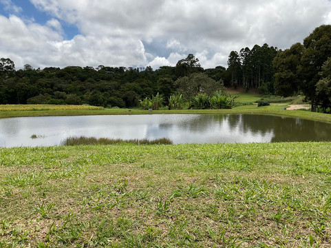Vinicola Goes-Sao Roque必去景点