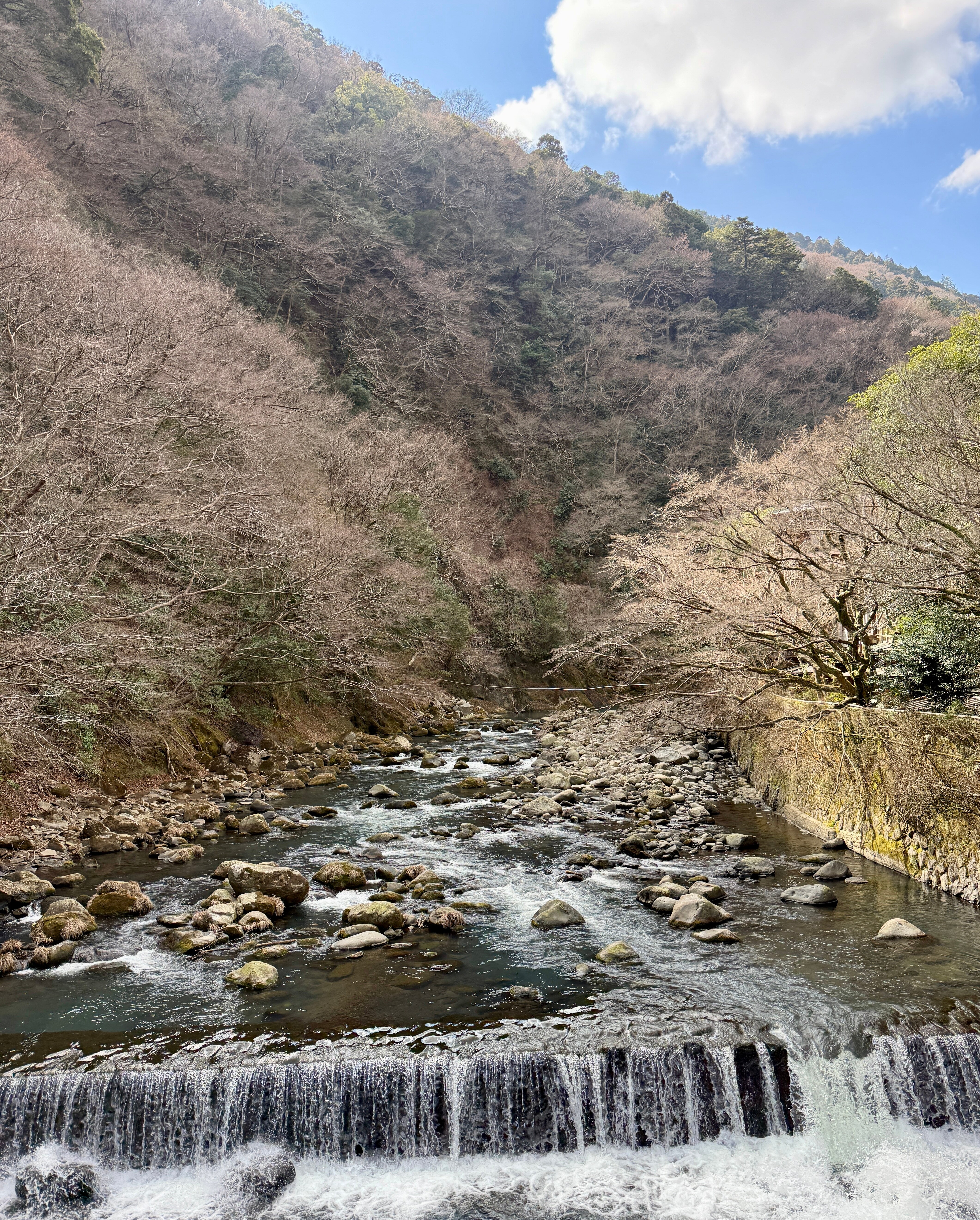 箱根一之汤 塔之沢本馆-酒店景观