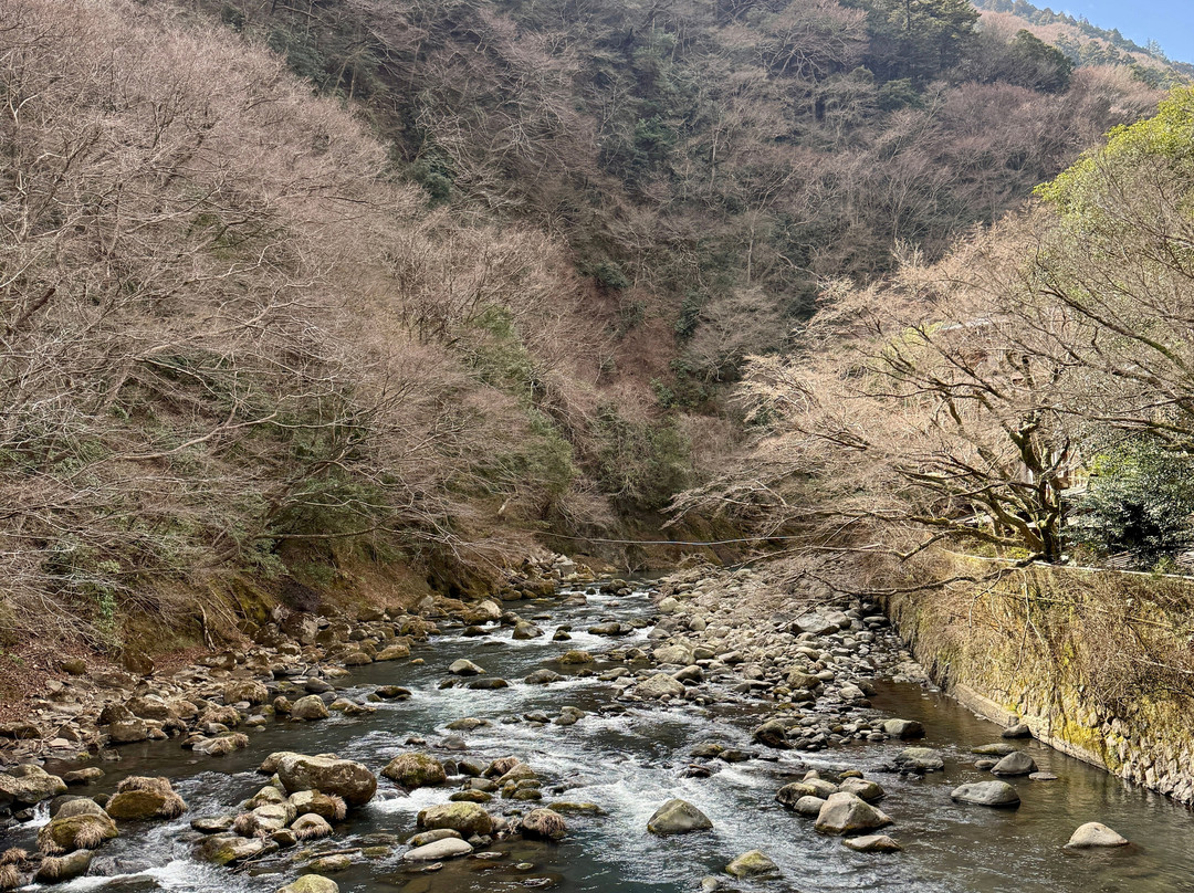 箱根一之汤 塔之沢本馆主图
