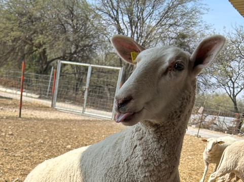 Rancho San Josemaría-克雷塔罗必去景点