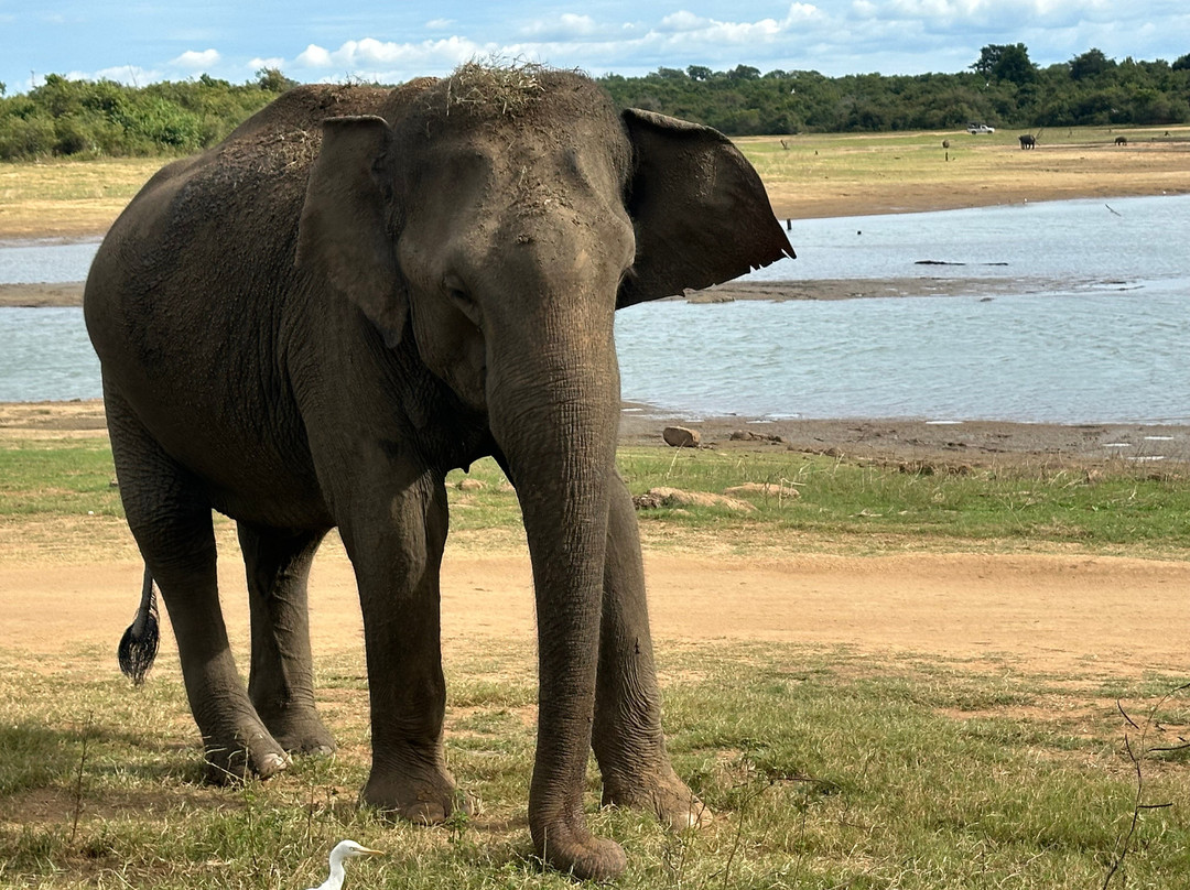 Helanka Tours Srilanka-乌纳瓦图纳必去景点