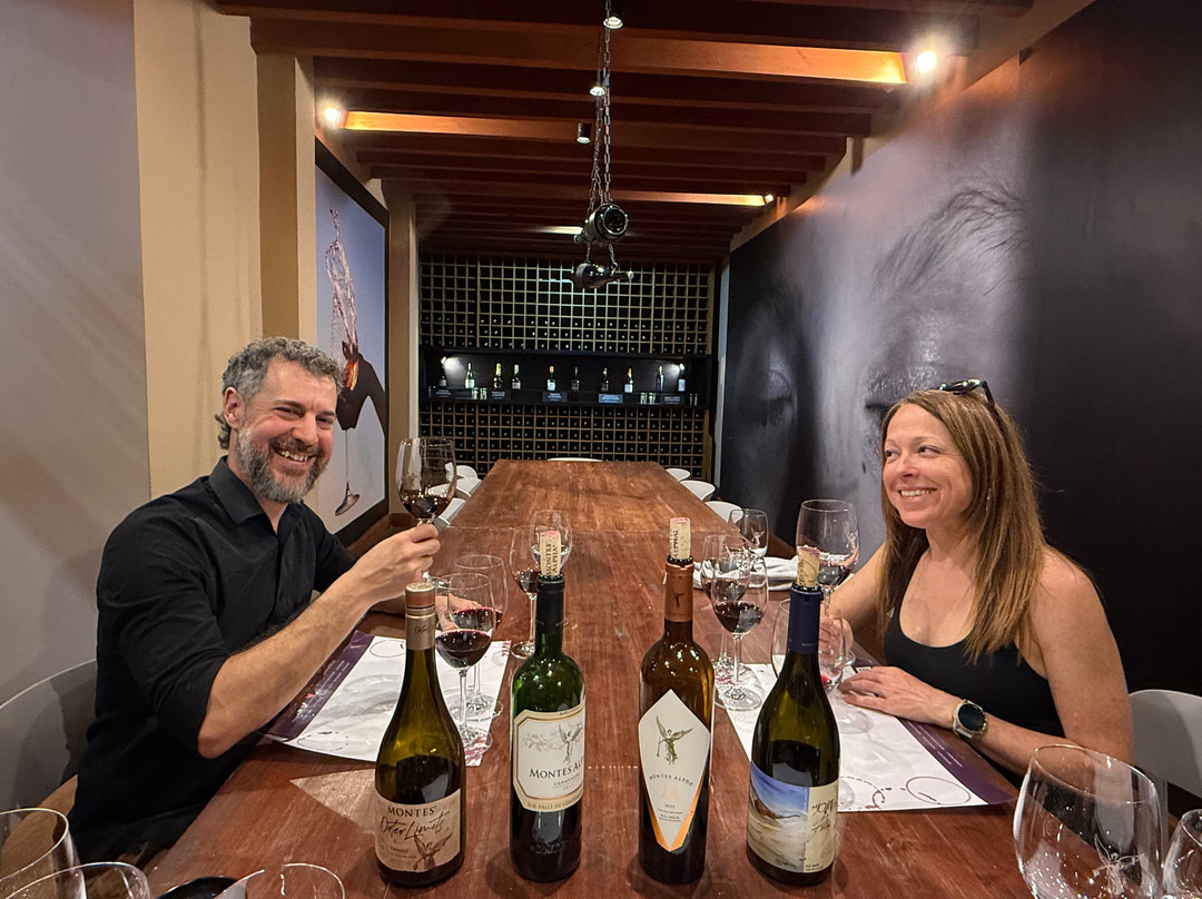 Colchagua Wine Tours-圣克鲁斯必去景点