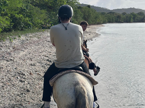 Jurutungo Farm-Florida必去景点