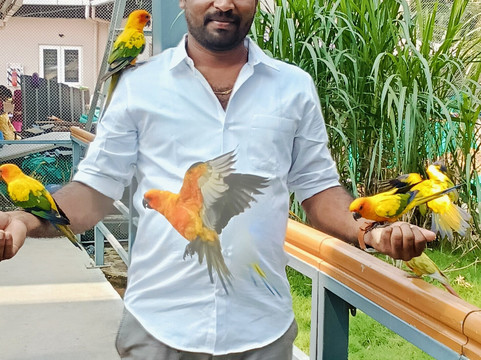 Trichy Birds Park-Tiruchirappalli District必去景点