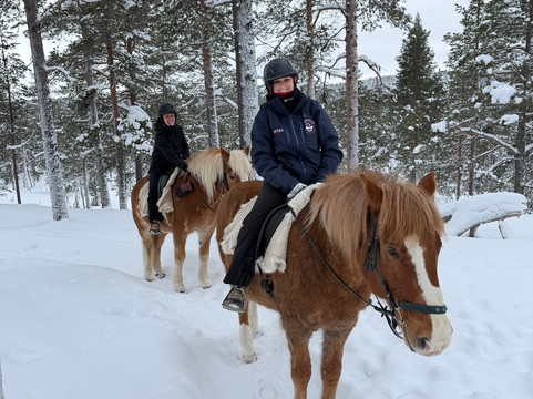 Polaris Point Horses-撒利塞卡必去景点