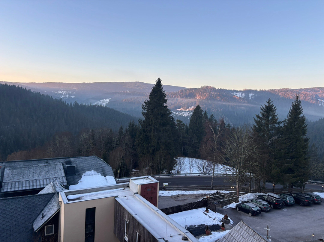 Das Alpl Resort