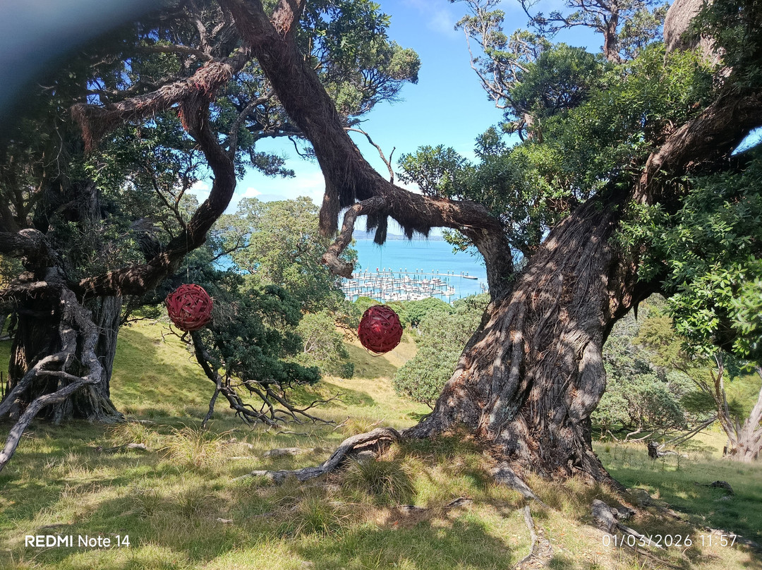 Kennedy Point Vineyard-Surfdale必去景点