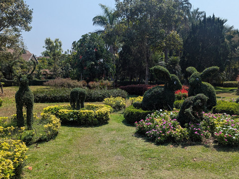 Tweechol Botanic Garden-雷沙革必去景点