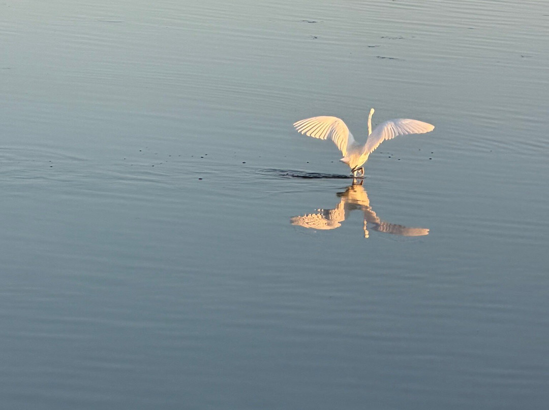 Messolonghi by Locals-Mesolongion必去景点