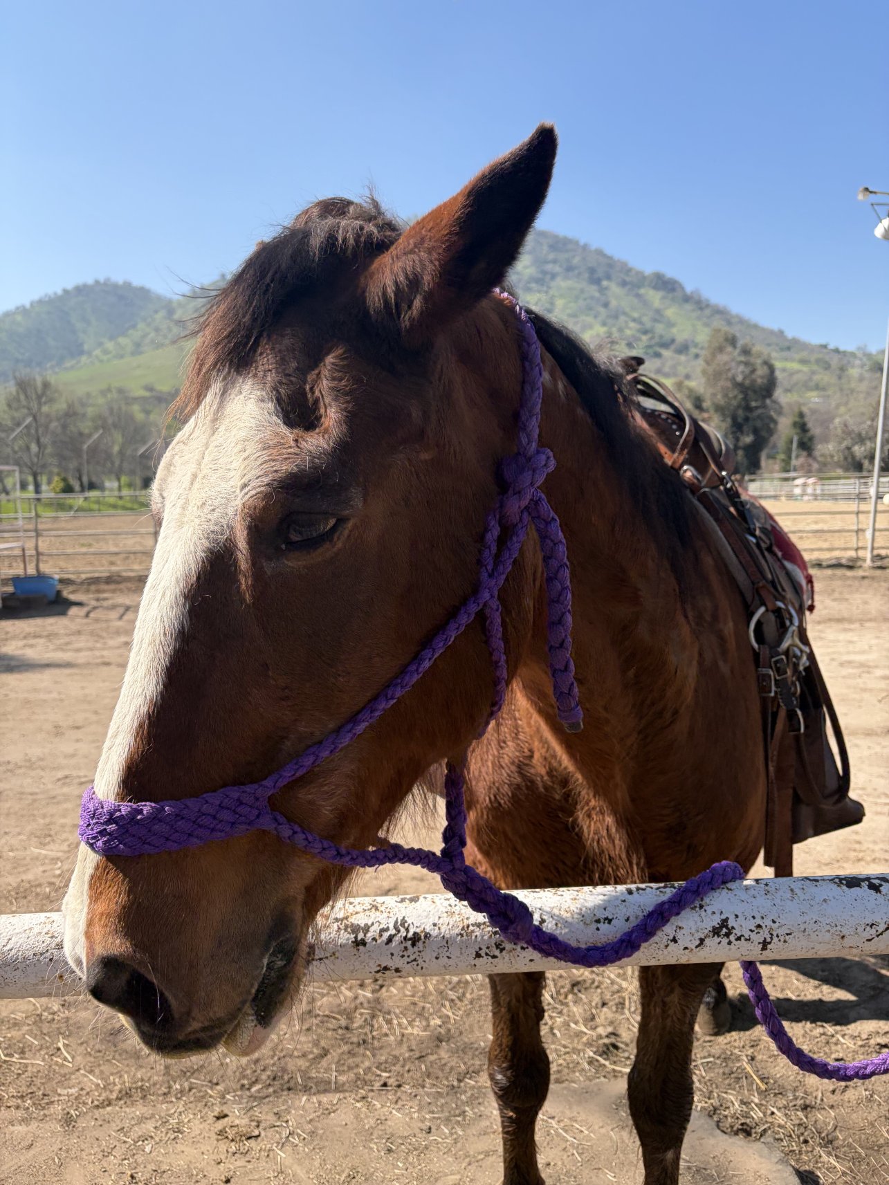 神奇山谷牧场度假酒店-官方