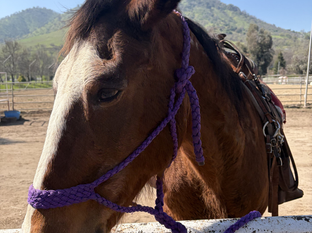 神奇山谷牧场度假酒店主图