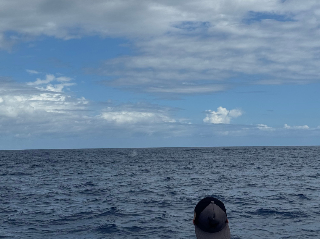 Dive and Sea Tahiti - Base nautique de Puna'auia-普纳奥亚必去景点
