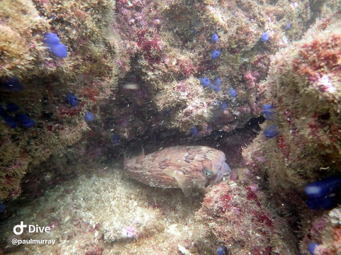 Samara Dive School-萨玛拉滩必去景点