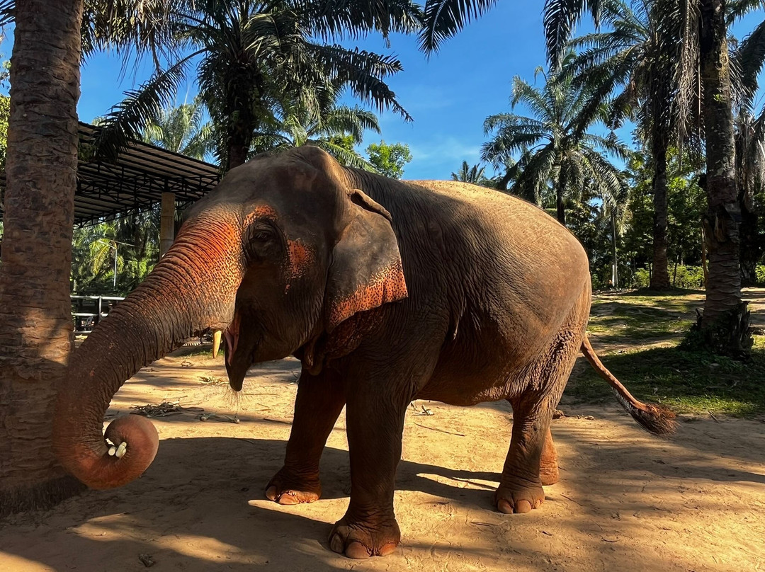 Krabi Dôme-Chong Phli必去景点