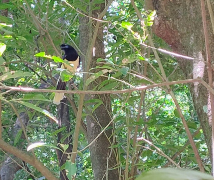 Parque do Inga-Maringa必去景点