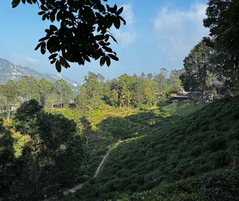 Kokotours (кокотур)-加勒必去景点