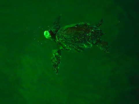 Playa Baquerizo-Puerto Baquerizo Moreno必去景点