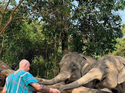 Chiangmai Elephant Sanctuary-清迈必去景点