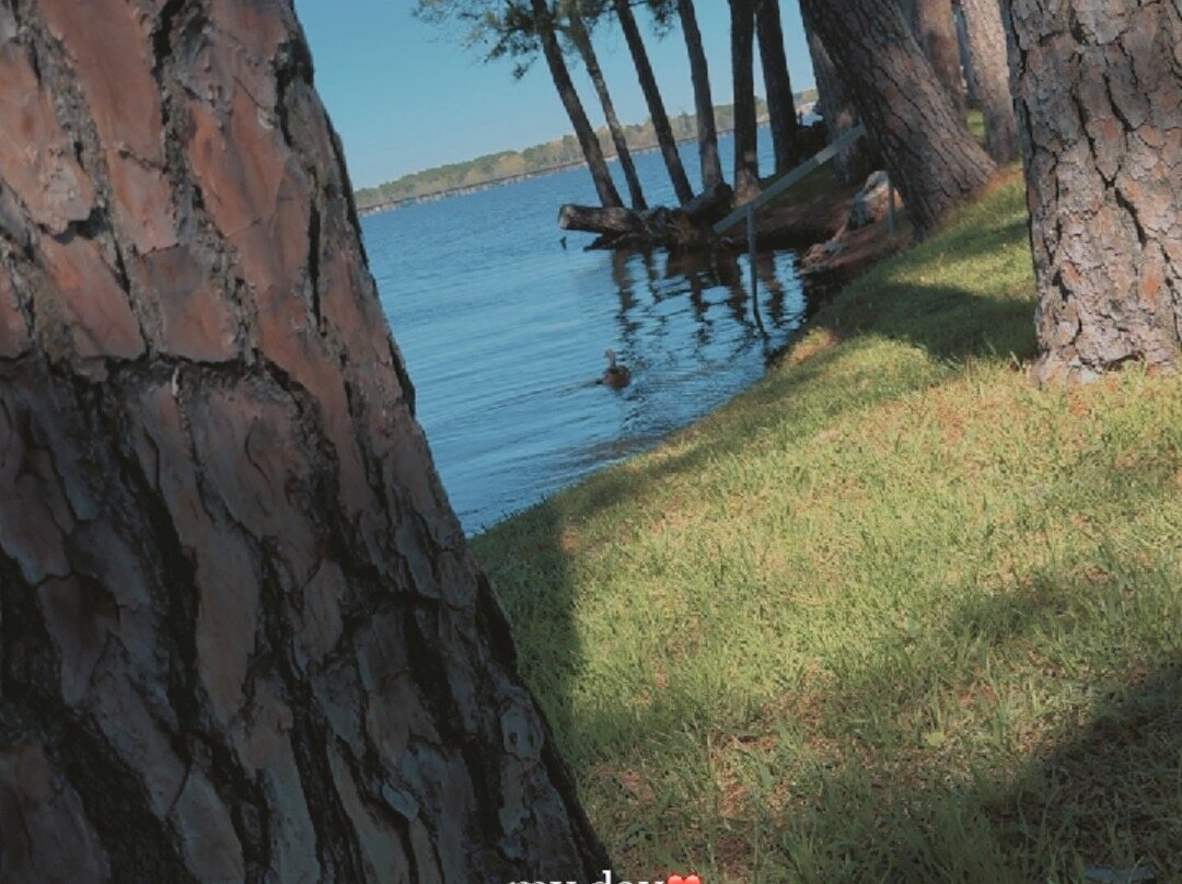 Flat Creek Marina & RV Camping