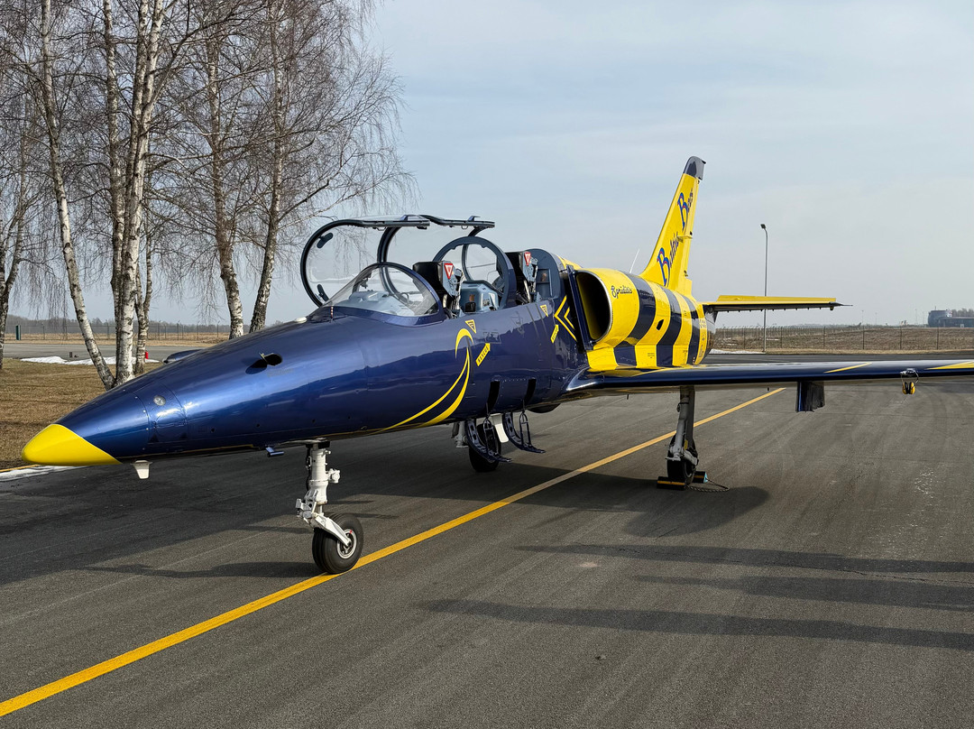 Baltic Bees-尤尔马拉必去景点