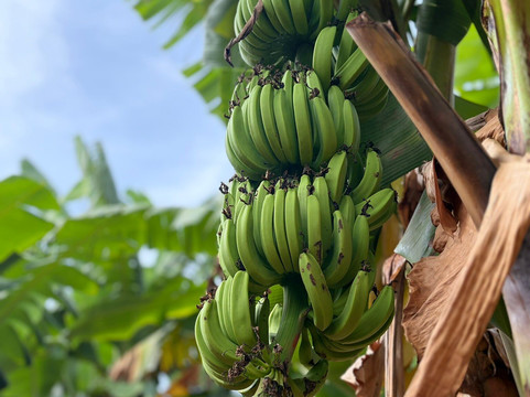 Gigi di Zanzibar-桑给巴尔岛必去景点