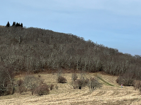 Huckleberry Knob-罗宾斯维尔必去景点