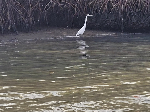 Soumare Tour-开普史基林必去景点