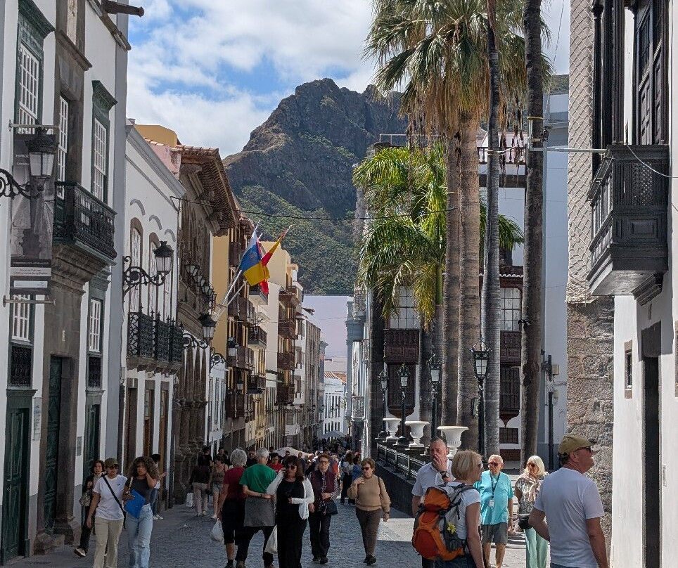 Calle O'Daly-巴尔玛圣库鲁斯必去景点